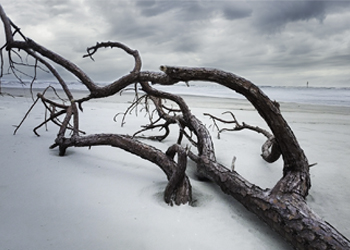William Widman Architectural Photography - Fine Art Prints
