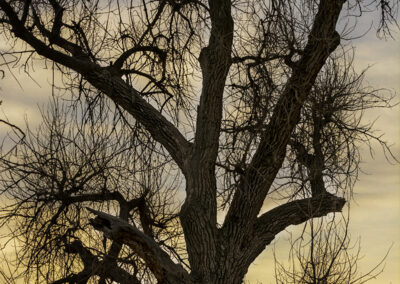 William Widman Architectural Photography - Fine Art Prints