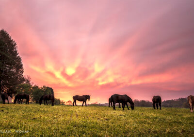 William Widman Architectural Photography - Wall Art Prints - Amish Sunrise