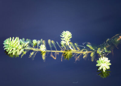 William Widman Architectural Photography - Fine Art Wall Art
